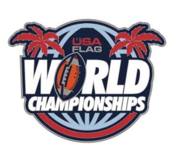 USA Flag World Champion Pin