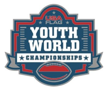 USA Flag World Champion Pin - Youth